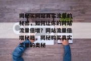 揭秘买网站真实流量的秘密，如何让你的网站流量倍增？网站流量倍增秘籍，揭秘购买真实流量的奥秘