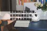 北京做网站公司的强，北京网站建设公司，专业打造高品质网站