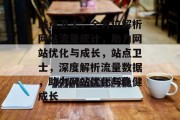 站点卫士，全方位解析网站流量统计，助力网站优化与成长，站点卫士，深度解析流量数据，助力网站优化与稳健成长