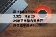 震裕科技(300953.SZ)：预计2024年下半年六面检开线覆盖率达到100%