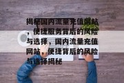 揭秘国内流量充值网站，便捷服务背后的风险与选择，国内流量充值网站，便捷背后的风险与选择揭秘