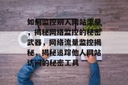 如何监控别人网站流量，揭秘网络监控的秘密武器，网络流量监控揭秘，揭秘追踪他人网站访问的秘密工具