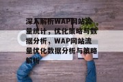 深入解析WAP网站流量统计，优化策略与数据分析，WAP网站流量优化数据分析与策略解析