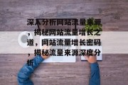 深入分析网站流量来源，揭秘网站流量增长之道，网站流量增长密码，揭秘流量来源深度分析