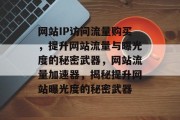 网站IP访问流量购买，提升网站流量与曝光度的秘密武器，网站流量加速器，揭秘提升网站曝光度的秘密武器