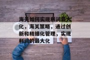 海关如何实现利润最大化，海关策略，通过创新和精细化管理，实现利润的最大化