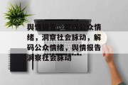 舆情报告，解码公众情绪，洞察社会脉动，解码公众情绪，舆情报告洞察社会脉动