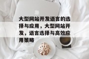 大型网站开发语言的选择与应用，大型网站开发，语言选择与高效应用策略