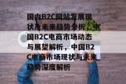 国内B2C网站发展现状及未来趋势分析，中国B2C电商市场动态与展望解析，中国B2C电商市场现状与未来趋势深度解析