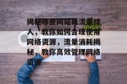 揭秘哪些网站耗流量惊人，教你如何合理使用网络资源，流量消耗揭秘，教你高效管理网络资源