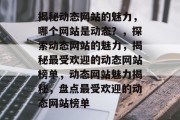 揭秘动态网站的魅力，哪个网站是动态？，探索动态网站的魅力，揭秘最受欢迎的动态网站榜单，动态网站魅力揭秘，盘点最受欢迎的动态网站榜单