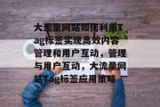 大流量网站如何利用Tag标签实现高效内容管理和用户互动，管理与用户互动，大流量网站Tag标签应用策略