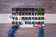 网站成功案例揭秘，如何打造高效吸金的网络平台，揭秘高效吸金网络平台，网站成功案例分析