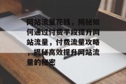 网站流量花钱，揭秘如何通过付费手段提升网站流量，付费流量攻略，揭秘高效提升网站流量的秘密