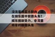 没流量明星小鲜肉，谁在娱乐圈中崭露头角？娱乐圈新势力，非流量明星的崭露头角