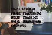 网站SEO流量查询，揭秘提升网站流量的秘密武器，网站SEO流量攻略，揭秘流量倍增的秘密武器