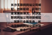 长沙互联网网站公司崛起，创新驱动，引领行业发展新潮流，长沙互联网网站公司创新崛起，领跑行业新风尚，长沙互联网网站公司创新领航，塑造行业新风尚