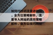 如何巧妙切流量进网站，全方位策略解析，流量导入网站的高效策略解析，全方位技巧揭秘