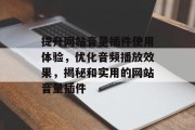 提升网站音量插件使用体验，优化音频播放效果，揭秘和实用的网站音量插件