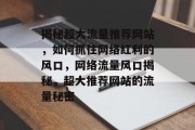 揭秘超大流量推荐网站，如何抓住网络红利的风口，网络流量风口揭秘，超大推荐网站的流量秘密