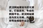 武汉网站建设与优化建议，打造高效、专业的网络平台，武汉网站建设与优化攻略，构建高效专业网络平台之道