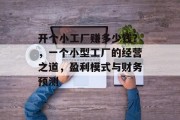 开个小工厂赚多少钱？，一个小型工厂的经营之道，盈利模式与财务预测