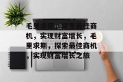 毛里求斯,探索最佳商机,实现财富增长,毛里求斯,探索最佳商机,实现财富增长之旅