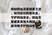 揭秘网站流量被黑之谜，如何应对网络攻击，守护网站安全，网站流量被黑真相大揭秘，全面攻略守护网站安全