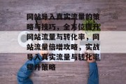 网站导入真实流量的策略与技巧，全方位提升网站流量与转化率，网站流量倍增攻略，实战导入真实流量与转化率提升策略