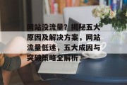 网站没流量？揭秘五大原因及解决方案，网站流量低迷，五大成因与突破策略全解析
