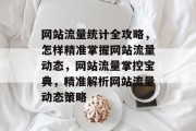 网站流量统计全攻略，怎样精准掌握网站流量动态，网站流量掌控宝典，精准解析网站流量动态策略