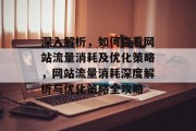 深入解析，如何查看网站流量消耗及优化策略，网站流量消耗深度解析与优化策略全攻略