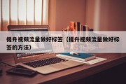 提升视频流量做好标签（提升视频流量做好标签的方法）