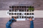 为何不给流量的网站也能存活？揭秘流量之外的生存之道，流量之外，揭秘低流量网站的生存奥秘