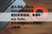 深入浅出，Burp Suite抓取网站流量的实用指南，掌握Burp Suite，高效抓取网站流量的入门宝典