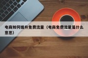 电商如何提升免费流量（电商免费流量是什么意思）
