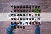 中型网站流量优化策略，如何提升访问量，打造高活跃度平台，中型网站流量倍增攻略，提升访问量，构建高活跃度互动平台