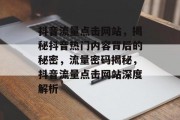 抖音流量点击网站，揭秘抖音热门内容背后的秘密，流量密码揭秘，抖音流量点击网站深度解析
