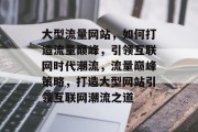 大型流量网站，如何打造流量巅峰，引领互联网时代潮流，流量巅峰策略，打造大型网站引领互联网潮流之道