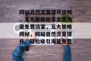 网站自然流量提升攻略，五大策略助你坐拥海量免费访客，五大策略揭秘，网站自然流量提升，轻松吸引海量免费访客