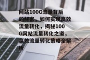 网站100G流量背后的秘密，如何实现高效流量转化，揭秘100G网站流量转化之道，高效流量转化策略全解析