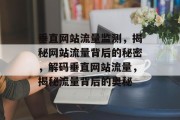垂直网站流量监测，揭秘网站流量背后的秘密，解码垂直网站流量，揭秘流量背后的奥秘