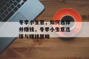 冬季小生意,如何选择并赚钱,冬季小生意选择与赚钱策略