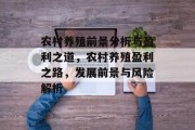 农村养殖前景分析与盈利之道，农村养殖盈利之路，发展前景与风险解析
