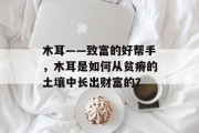 木耳——致富的好帮手，木耳是如何从贫瘠的土壤中长出财富的？