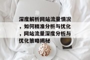 深度解析网站流量情况，如何精准分析与优化，网站流量深度分析与优化策略揭秘