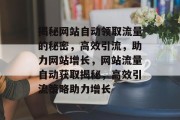 揭秘网站自动领取流量的秘密，高效引流，助力网站增长，网站流量自动获取揭秘，高效引流策略助力增长