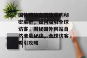 国外网站自然流量的秘密解析，如何吸引全球访客，揭秘国外网站自然流量秘诀，全球访客吸引攻略