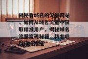 揭秘看域名的流量网站，如何从域名流量中获取精准用户，揭秘域名流量变现秘籍，精准吸引用户之道