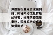 深度解析查点击流量网站，揭秘网络流量背后的秘密，揭秘网络流量奥秘，深度解析查点击流量网站